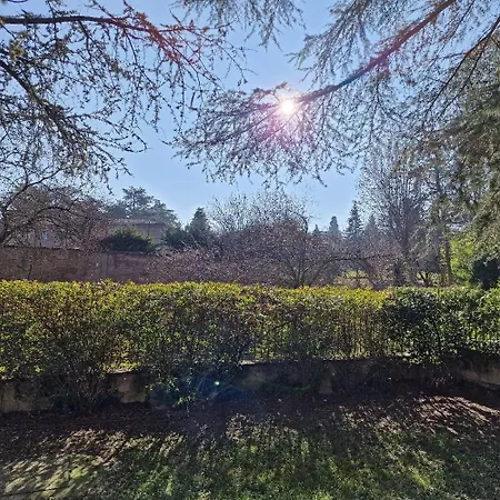 Bellacosta ボローニャ